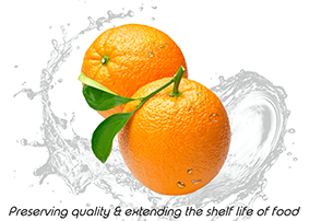 Food Shelf life extension